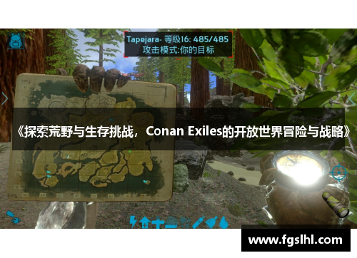 《探索荒野与生存挑战，Conan Exiles的开放世界冒险与战略》